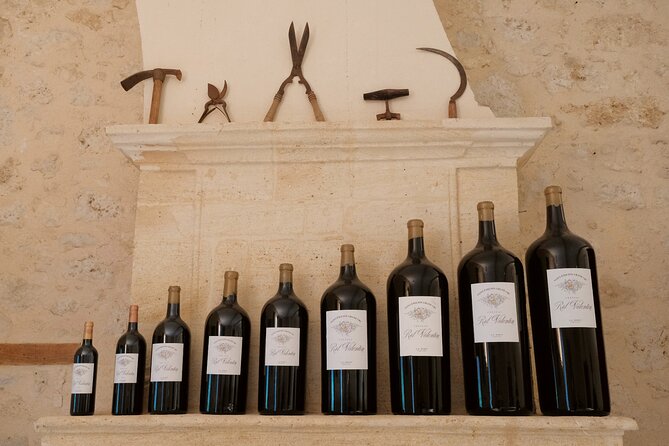 Discovery visit of Château Rol Valentin with tasting - Should you book this tasting visit?