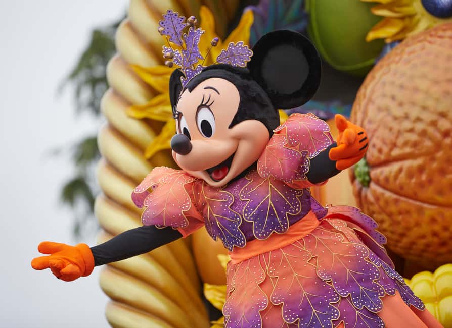 Disneyland® Paris 1-Day Ticket - Entering fast: using your ticket at the turnstiles