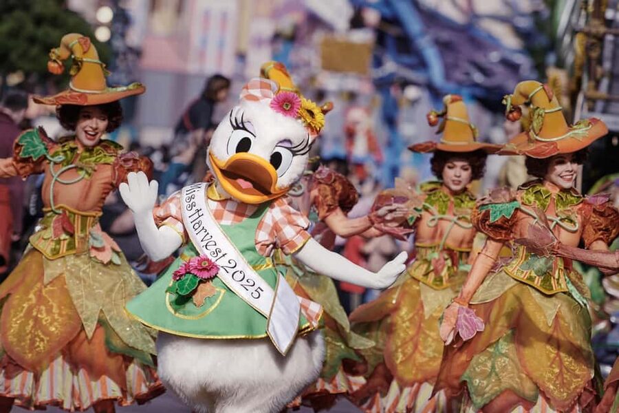 Disneyland® Paris Tickets for Train and Parks - Disneyland Paris Day Highlights: Castle Views and Big-Sky Shows