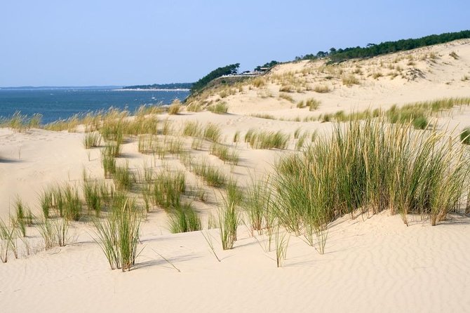 Dune du Pilat and Oysters Tasting in only 1 hour away from Bordeaux ! What else? - How the Guide Makes the Dune Climb Feel Manageable