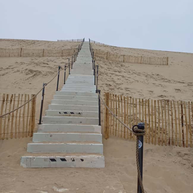 Dune du Pilat, Oysters Tasting and Arcachon! What else ? - Should You Book This Dune du Pilat and Oysters Day?