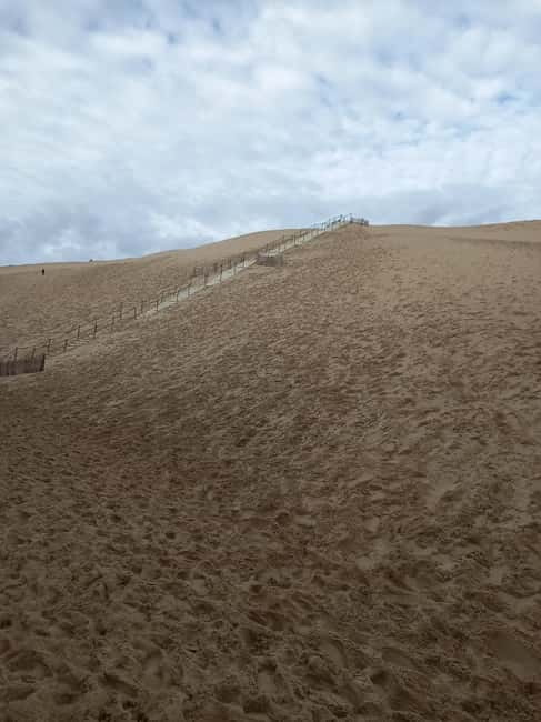 Dune du Pilat, Oysters Tasting and Arcachon! What else ? - La Teste-de-Buch Oyster Port Tasting: How the Choice Works