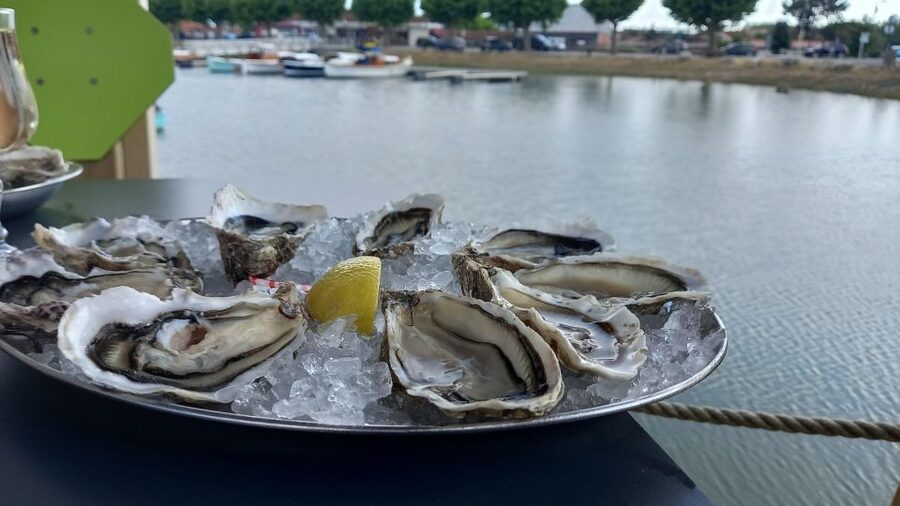 Dune du Pilat, Oysters Tasting and Arcachon! What else ? - Price and Value: Is $148 Worth It?
