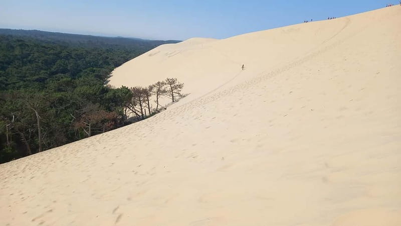 Dune du Pilat, Oysters Tasting and Arcachon! What else ? - Small Group Logistics, Pickup Options, and the Real Timing