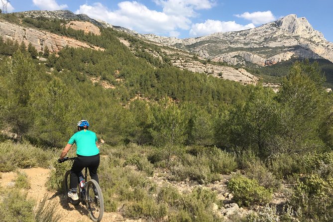 E-Bike tour of Sainte Victoire Mountain, Aix-en-Provence - Price and value: is $84.69 per person a good deal?