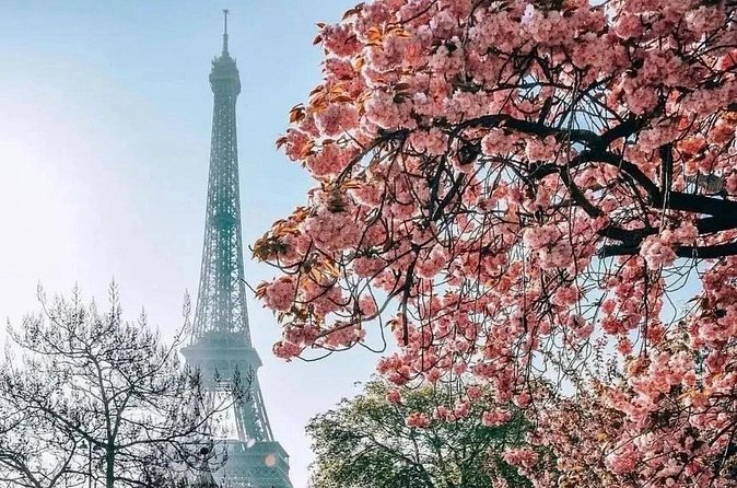 Eiffel Tower Guided Access up to the 2nd Floor or Summit by Lift - The Guide Experience: Names, Styles, and Why It Matters