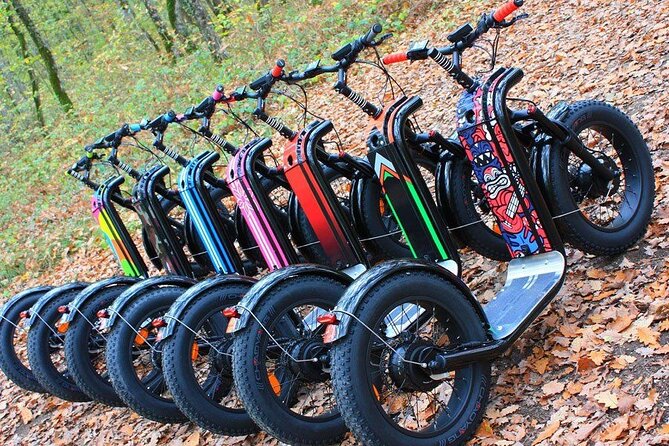 Electric scooter tour in Hossegor - The Pédebert district and the Landes forest sandy-path rhythm