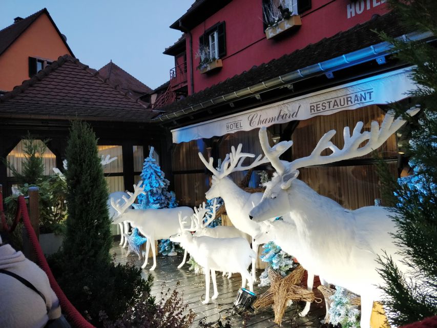 Enchanting Christmas Experience From Colmar - Key highlights to know