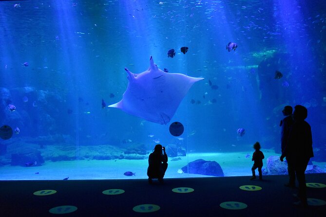 Entrance Ticket Nausicaa, the biggest aquarium in Europe - FAQ