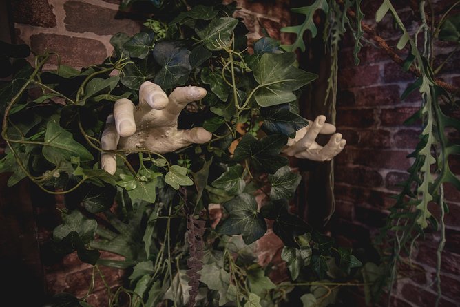Escape Hunt Paris, Escape Game - Who should book Escape Hunt Paris
