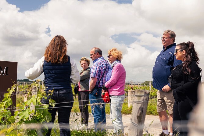 Essential Wine Tour with Tasting & Chateau Visits from Bordeaux - From Pl. des Quinconces to the Vineyards: Timing and Getting Oriented