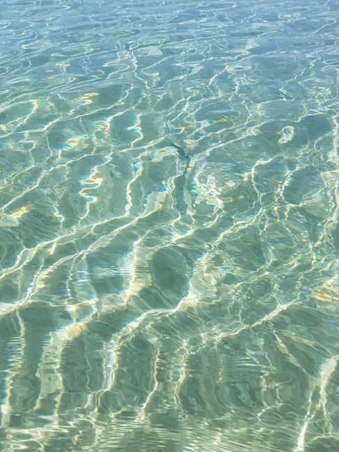 Excursion to Porquerolles Island from Bandol - Key things that matter on this Porquerolles day trip
