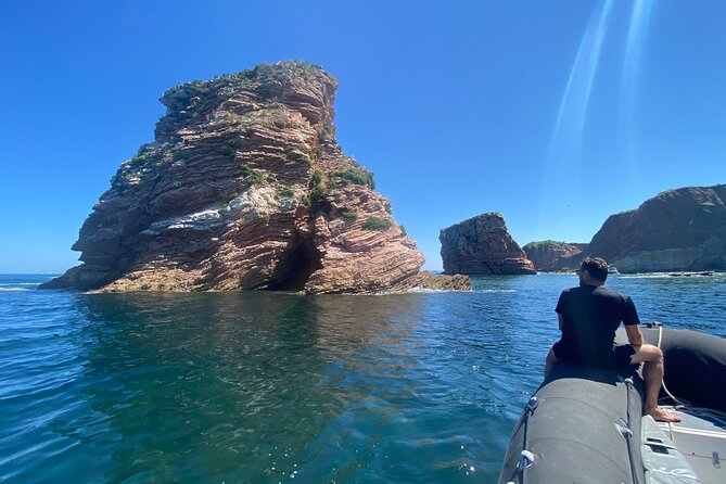 Explore the Wild Beauty of the Basque Coast by Boat - Price and value: why $83.27 can make sense for this coast