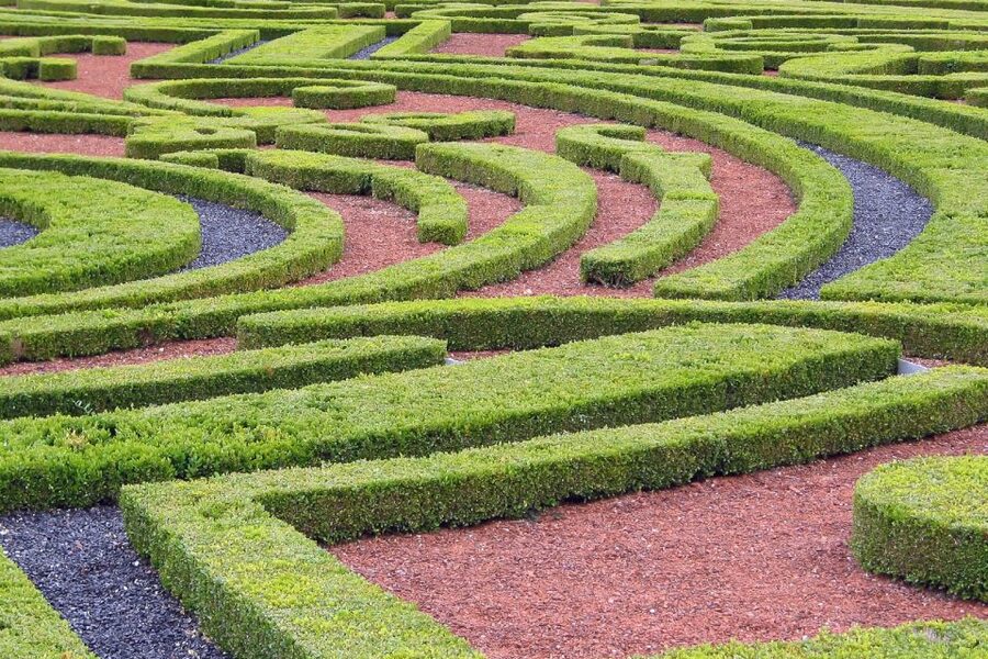 Fontainebleau & Vaux-le-Vicomte Châteaux Day Tour from Paris - Lunch reality at the château stops: plan for slow or limited options