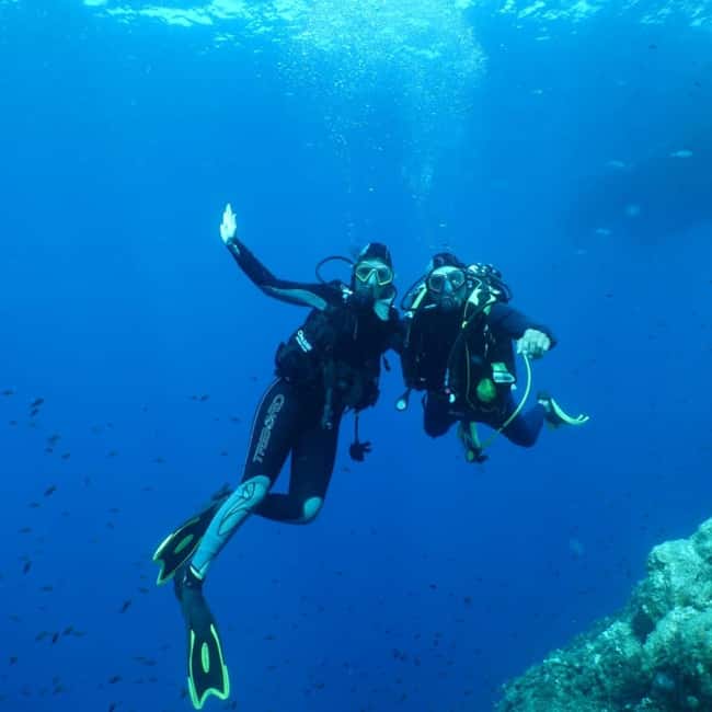 Fréjus: Diving Experience in Port-Fréjus with an Instructor - Orientation and Equipment Setup: The Part That Makes It Enjoyable