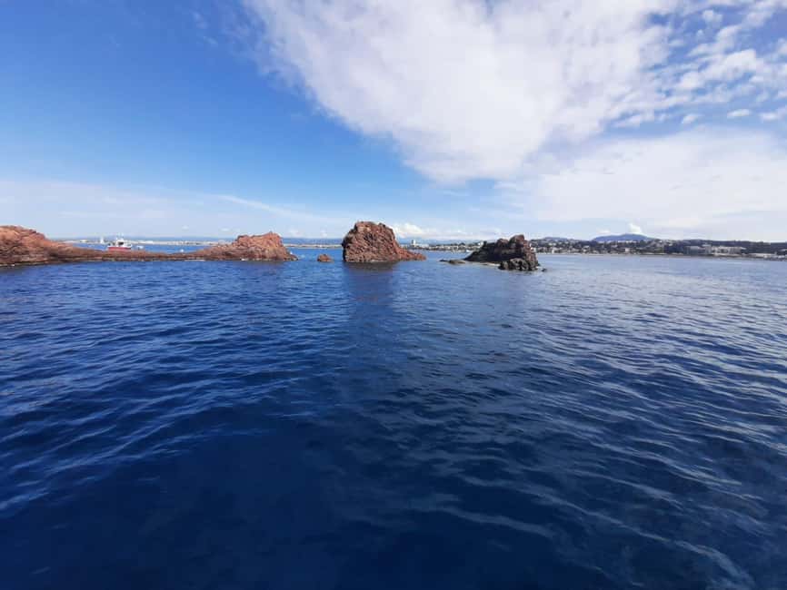 Fréjus: Diving Experience in Port-Fréjus with an Instructor - The Estérel Coast Underwater Life: Fish Swoops and Sea Flora