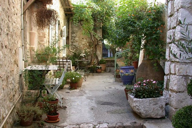 French Riviera Full Day Private Tour - Monaco Walking Time, Palace Views, and the Reality of Schedules