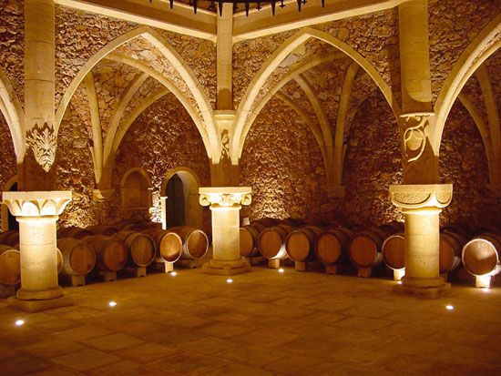 French Riviera: Provencal Wine Tour - Picking up in the French Riviera, then heading into the Var