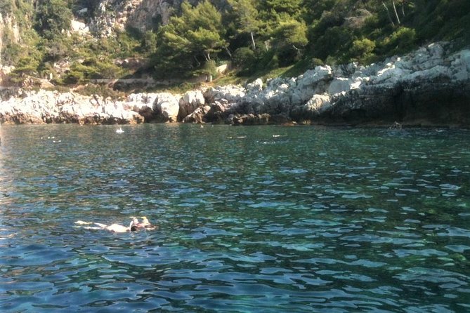 French Riviera Villefranche Bay Snorkeling Tour from Nice - Gear fitting and what you can expect underwater