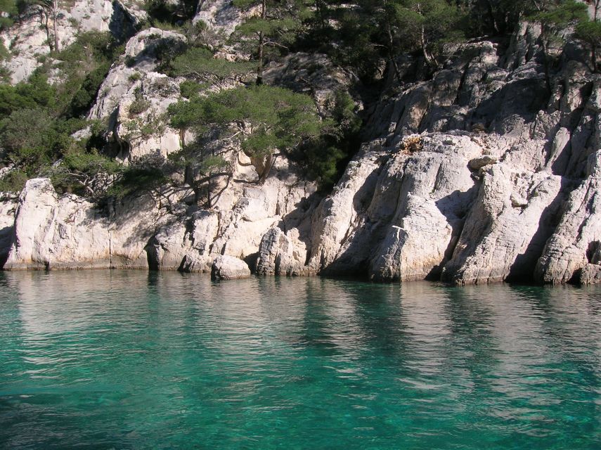 From Aix: Cassis Boat Ride & Provence Wine Tasting Day Tour - Cassis wine tasting: what you should expect at the winery