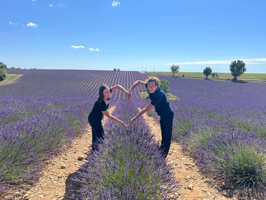 From Aix-en-Provence: Lavender Half Day Tour - Key things that make this tour work