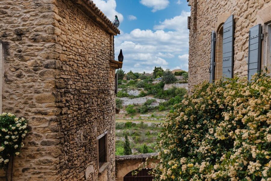 From Aix-en-Provence: Luberon Market & Villages Day Tour - Sénanque Abbey lavender photo stop during mid-June to mid-July