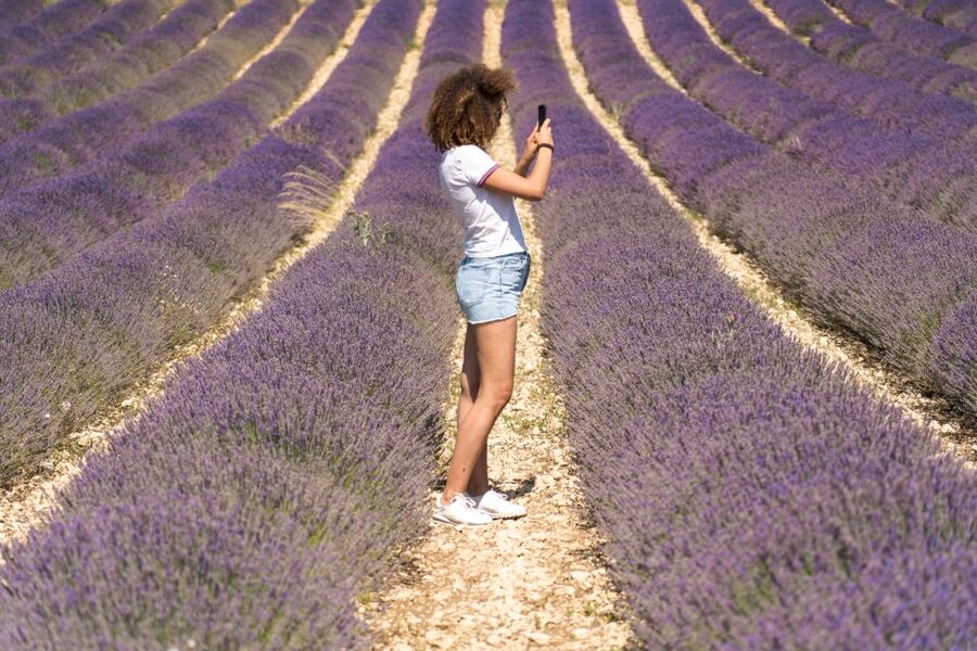From Aix-en-Provence: Sault Lavender & Gordes Full-Day Tour - Why this day trip feels special, even if Provence is already on your list