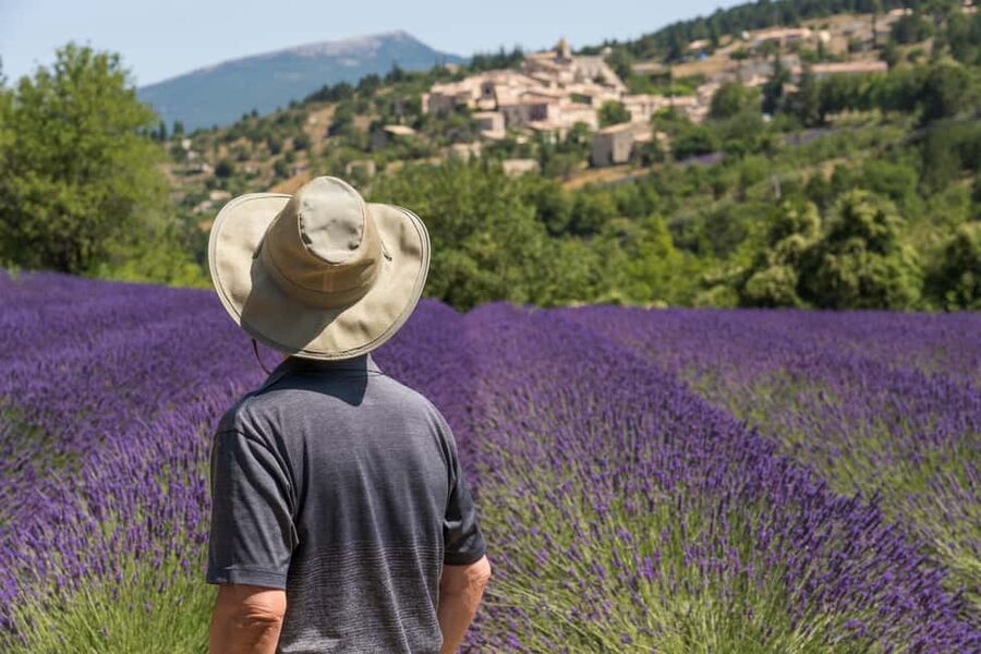 From Aix-en-Provence: Sault Lavender & Gordes Full-Day Tour - The 9-hour rhythm: comfortable transport, focused stops, and real time to look