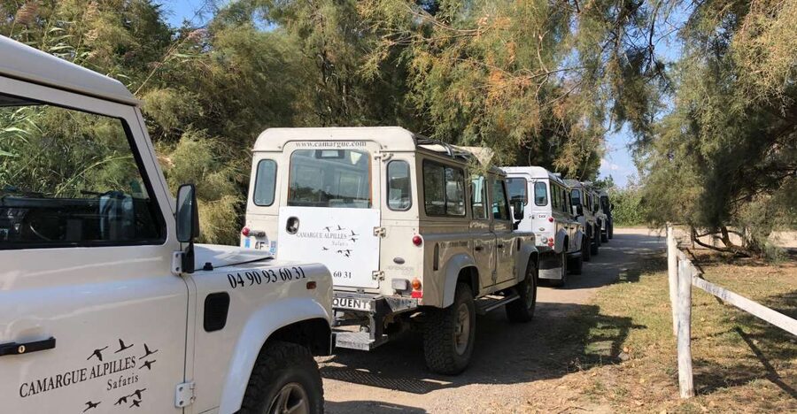 From Arles: Half-Day 4x4 Camargue Safari - Key things to know before your Camargue 4x4 safari