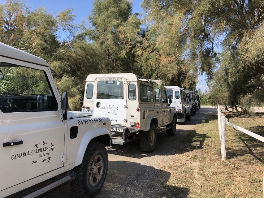 From Arles: Half-Day 4x4 Camargue Safari - Camargue country between the Rhône arms, what you’re really driving through