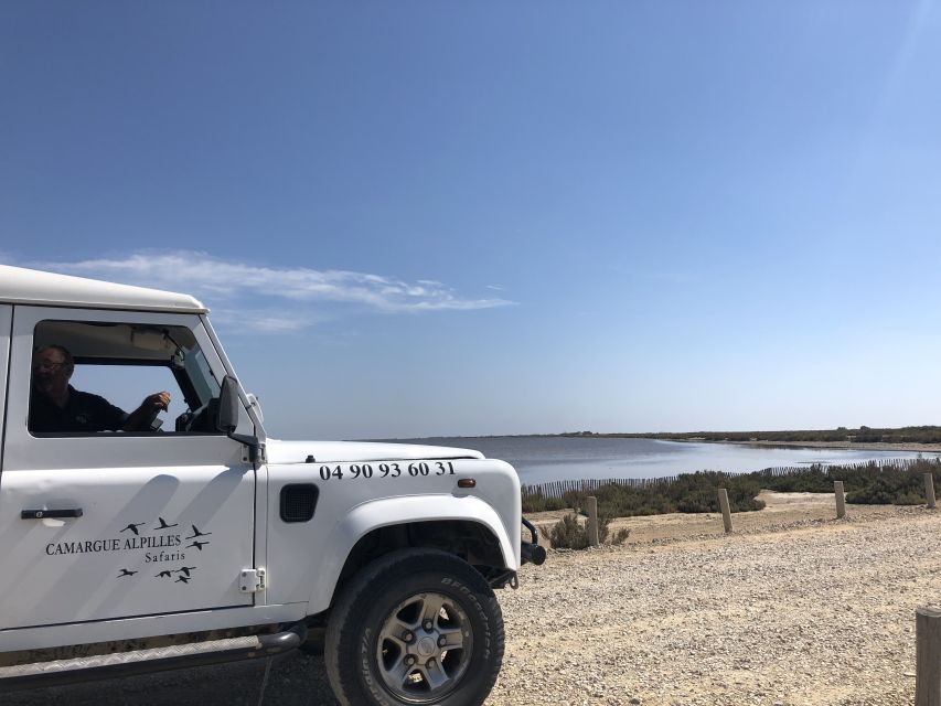 From Arles: Half-Day 4x4 Camargue Safari - Why the 4x4 safari vehicle is the real star, not just a transportation upgrade