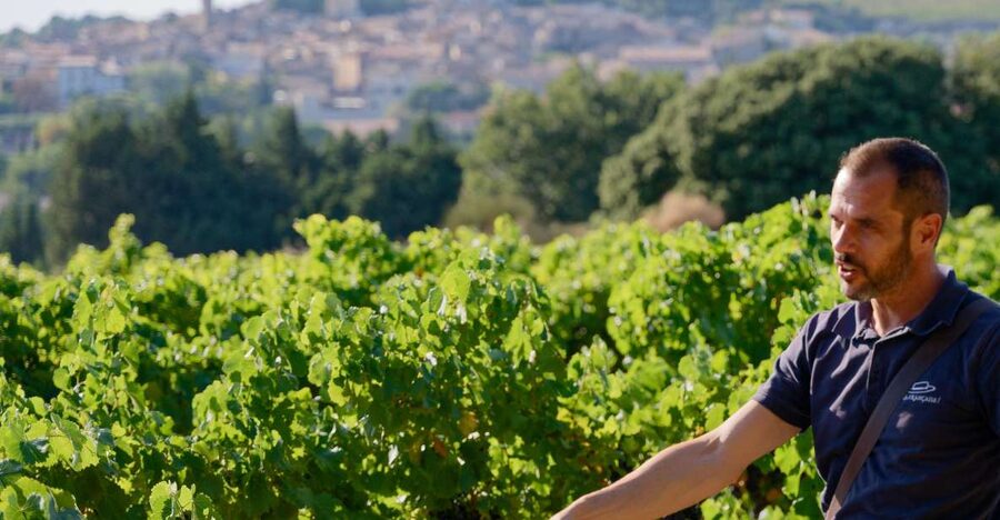 From Avignon: Châteauneuf du Pape Half-Day Wine Tour - Stop 1 wine tasting in Châteauneuf-du-Pape: how to use the first cellar