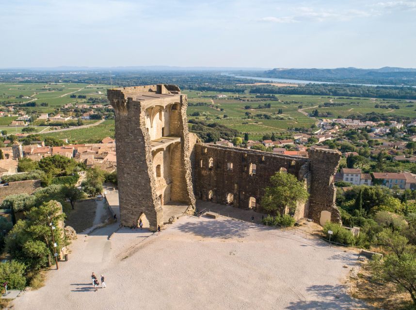 From Avignon: Châteauneuf du Pape Half-Day Wine Tour - The 15-minute photo stop at the Pope’s summer residence ruins