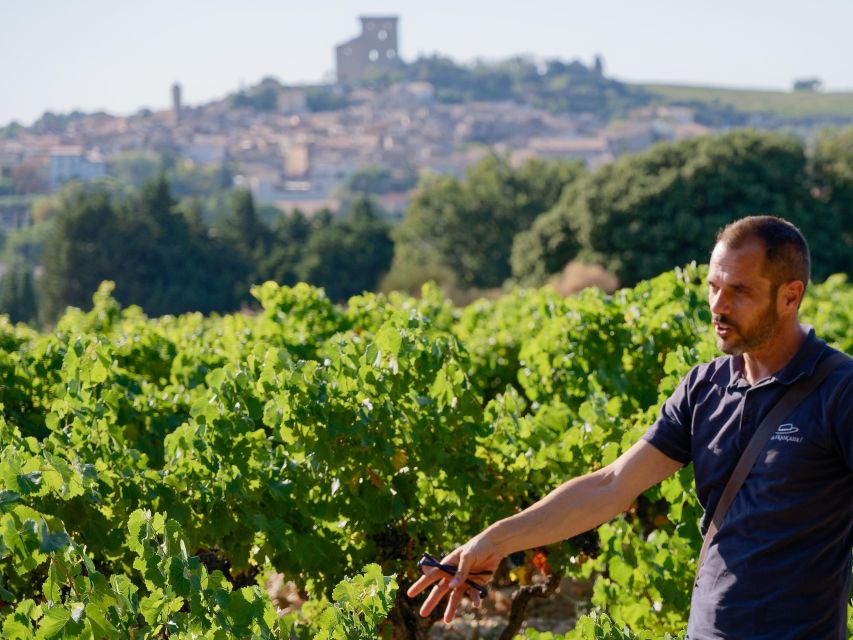 From Avignon: Châteauneuf du Pape Half-Day Wine Tour - What to bring so you enjoy every stop