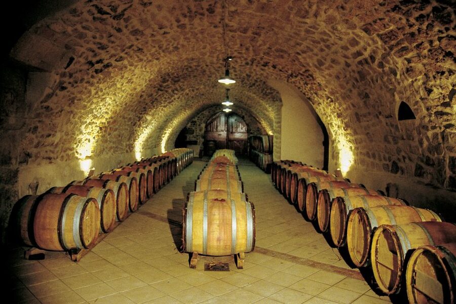 From Avignon: Half-Day Great Vineyards Tour - Wine tastings that actually teach you something