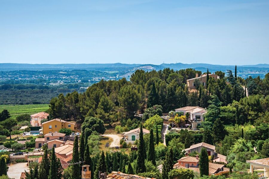 From Avignon: Half-Day Great Vineyards Tour - Should you book this half-day Great Vineyards tour from Avignon?