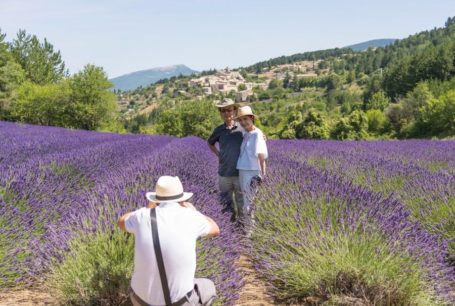 From Avignon: Half-Day Lavender Tour of Luberon - Why This Half-Day Luberon Plan Works From Avignon