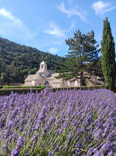 From Avignon: Half-Day Lavender Tour of Luberon - Roussillon Free Time: Ochre Streets and a Real Break