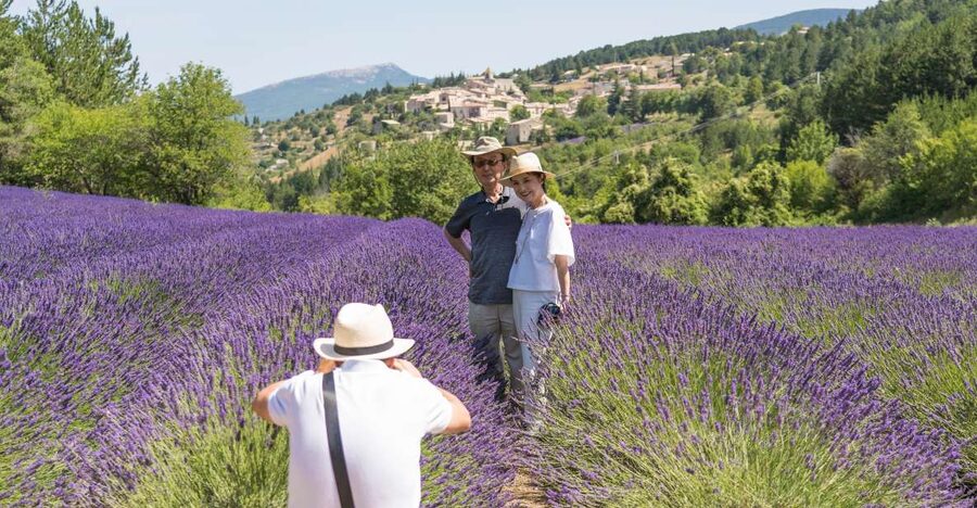 From Avignon: Half-Day Lavender Tour of Luberon - Getting There: The Minibus, the Meeting Point, and the Pace