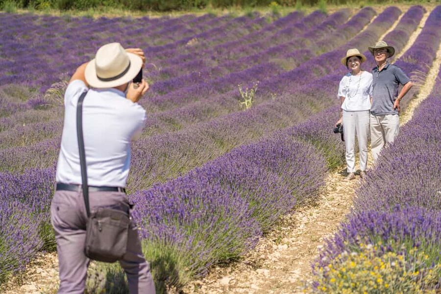 From Avignon: Half Day Lavender Tour to Sault - What to Bring and How to Stay Comfortable in Provence