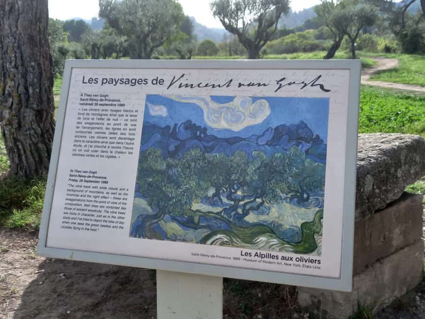 From Avignon: In the Footsteps of Van Gogh in Provence - How the Guide Shapes Your Experience (Names You Might Hear)