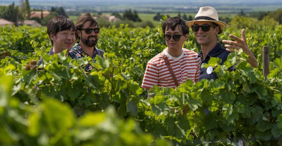 From Avignon: Luberon and Chateauneuf-du-Pape Full-Day Tour - Key things to know before you go