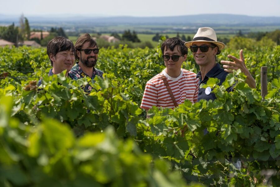 From Avignon: Luberon and Chateauneuf-du-Pape Full-Day Tour - From Avignon to Luberon wine country, fast and focused