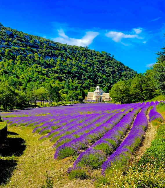 From Avignon: Provence Highlights Full-Day Tour - Key highlights to look for on this tour