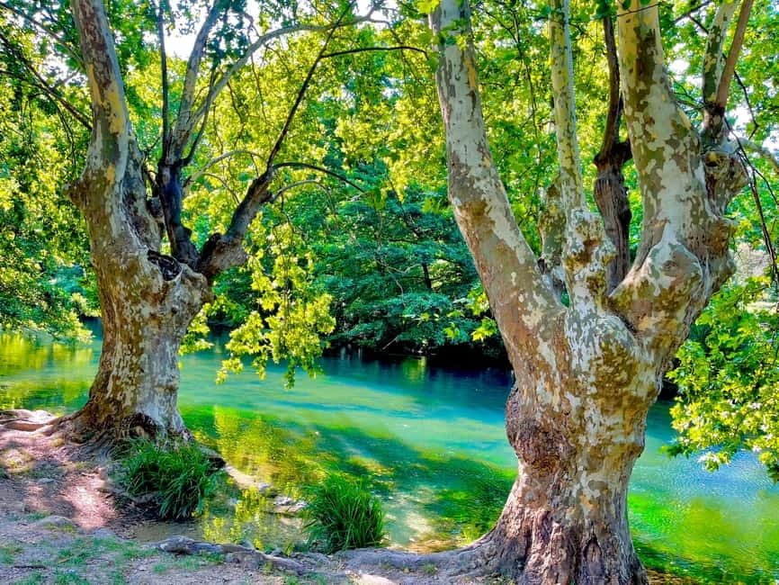 From Avignon: Provence Highlights Full-Day Tour - Luberon Regional Natural Park: the hilltop villages make sense