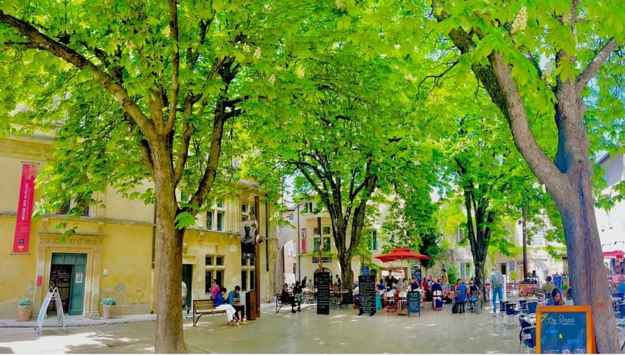 From Avignon: Provence Highlights Full-Day Tour - Les Baux de Provence: hilltop views with a time-warp feel