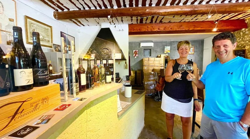 From Avignon: Wine Tour with Visit to Châteauneuf du Pape - Price and What $93 Buys You in the Rhône