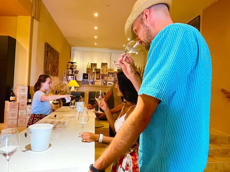 From Avignon: Wine Tour with Visit to Châteauneuf du Pape - Timing Options: Morning Picnic, Afternoon Order, and Winter Short Stops