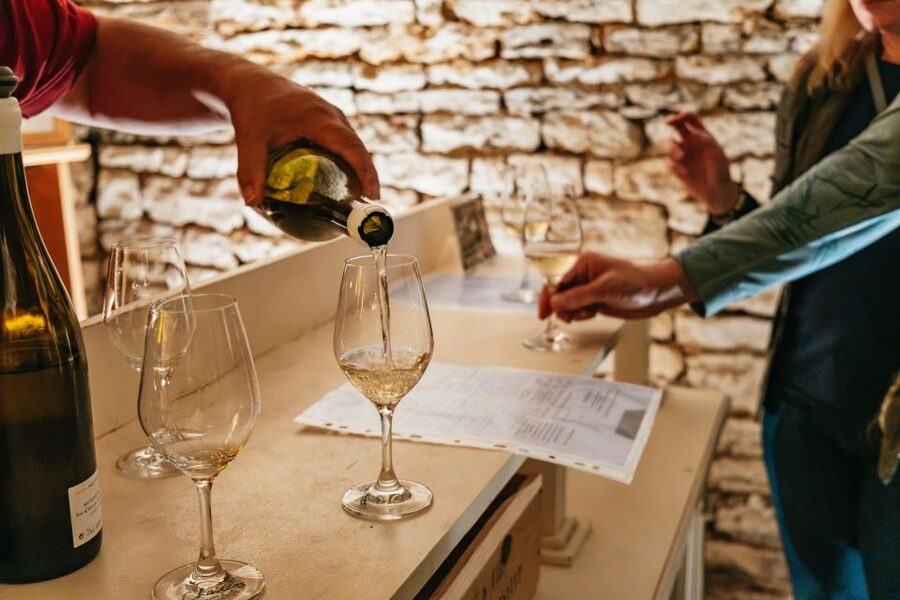 From Beaune: Burgundy Day Trip with 14 Wine Tastings - Key highlights you will actually feel