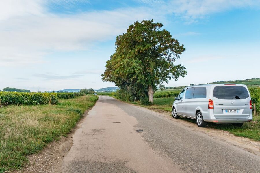 From Beaune: Burgundy Day Trip with 14 Wine Tastings - Price and value: what $294 buys in a full Burgundy day
